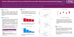 Thumbnail for Factors Influencing Pain Scores And Opioid Demand After Robotically Assisted Cardiac Surgery