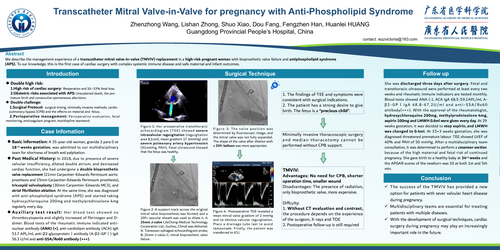 Preview of Transcatheter Mitral Valve-in-valve For Pregnancy With Anti-phospholipid Syndrome