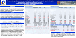 Thumbnail for Perioperative Predictors Of Early Mortality Following Transcatheter Aortic Valve Implantation