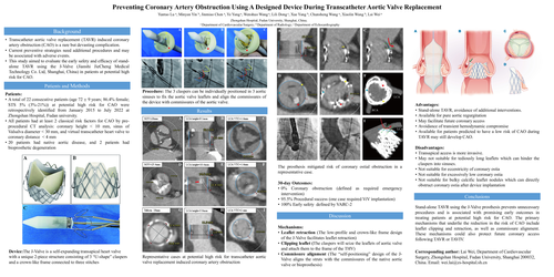 Preview of Preventing Coronary Artery Obstruction Using A Designed Device During Transcatheter Aortic Valve Replacement