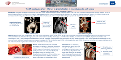 Thumbnail for The Left Subclavian Artery - The Key To Proximalisation In Innovative Aortic Arch Surgery