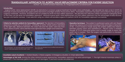 Thumbnail for TRANSAXILLARY APPROACH TO AORTIC VALVE
