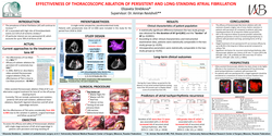 Thumbnail for Effectiveness Of Thoracoscopic Ablation Of Persistent And Long-standing Atrial Fibrillation