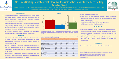 Preview of On Pump Beating Heart Minimally Invasive Tricuspid Valve Repair In The Redo Setting: Feasible/safe?