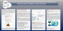 Thumbnail for The UK Kidney Association Sustainable Kidney Care programme: a collaborative, national initiative; strategy, successes and lessons