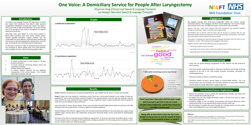 Preview of One Voice: A Domiciliary Service for People After Laryngectomy