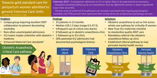 Preview of Towards gold standard care for peripartum women admitted to general intensive care units