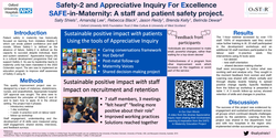 Thumbnail for SAFE-in-Maternity: Safety-2 and Appreciative inquiry For Excellence. A staff and patient safety project.