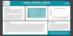 Thumbnail for Anuria during labour
