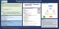 Thumbnail for Improving peri-operative anaesthesia for cervical cerclages - a quality improvement project.