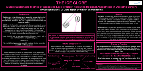 Preview of The ice globe: A more sustainable method of assessing level of block following regional anaesthesia in obstetric surgery