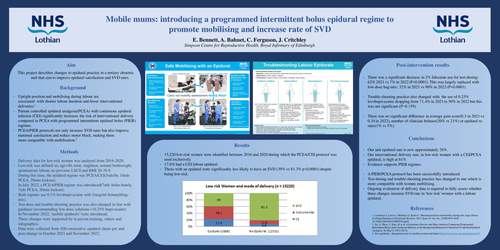 Preview of Epidural analgesia and mode of delivery: introducing a programmed intermittent bolus regime to promote mobilising and increase rate of SVD