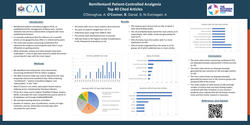 Thumbnail for Top-40 cited articles concerning remifentanil patient-controlled analgesia