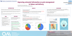 Thumbnail for Improving antenatal information on pain management in labour and delivery
