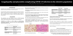 Preview of Coagulopathy and placentitis complicating COVID-19 infection in the obstetric population