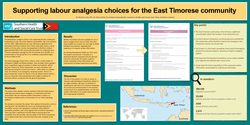 Thumbnail for Supporting labour analgesia choices for the Timorese community.