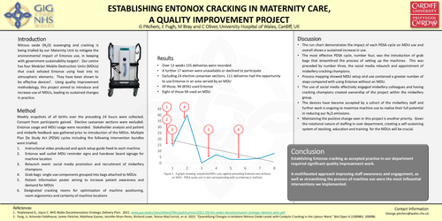 Preview of Establishing Entonox cracking in maternity care, a quality improvement project