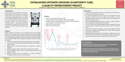 Thumbnail for Establishing Entonox cracking in maternity care, a quality improvement project