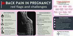 Thumbnail for Back pain in pregnancy -- red flags and challenges