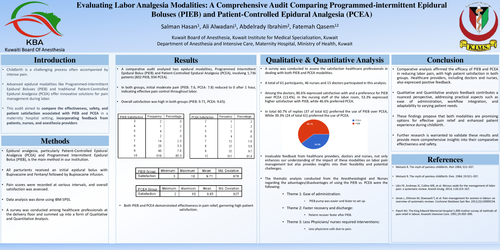 Preview of Evaluating Labor Analgesia Modalities: A Comprehensive Audit Comparing Programmed-intermittent Epidural Boluses (PIEB) and Patient-Controlled Epidural