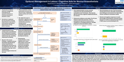 Thumbnail for Epidural management in labour: cognitive aids for novice anaesthetists