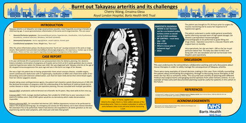 Preview of Burnt out Takayasu arteritis and its challenges