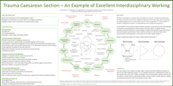 Thumbnail for Trauma Caesarean Section- an example of excellent interdisciplinary working