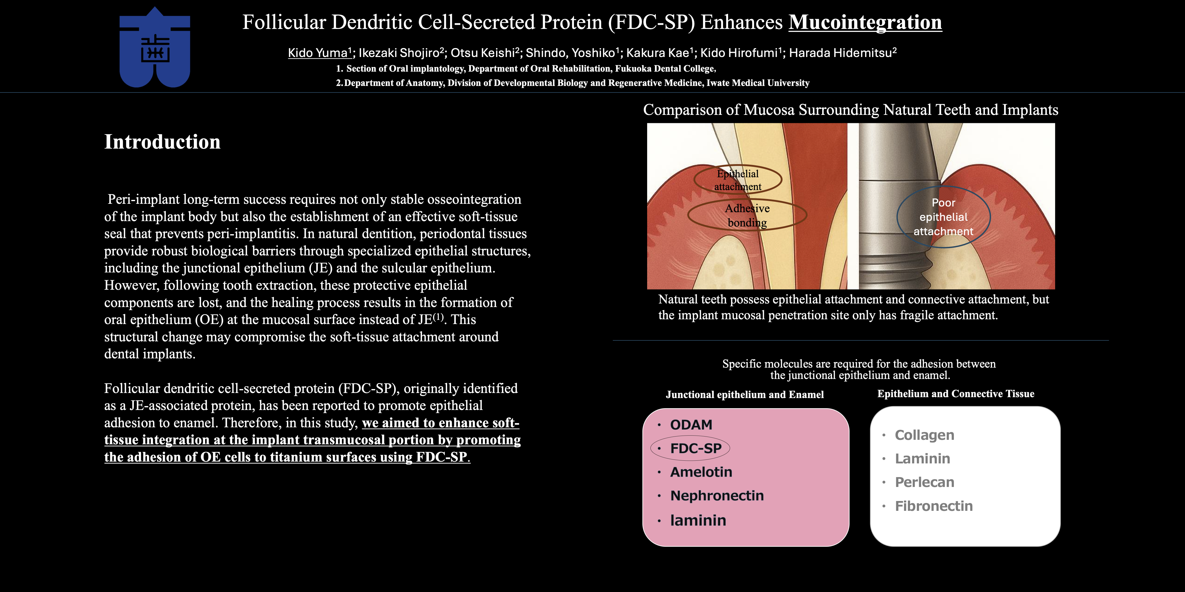 Thumbnail for Follicular Dendritic Cell-Secreted Protein (FDC-SP) Enhances Mucointegration