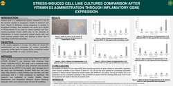 Thumbnail for Stress-Induced Cell Line Cultures Comparison after VitaminD3 Administration through Inflammatory Gene Expression