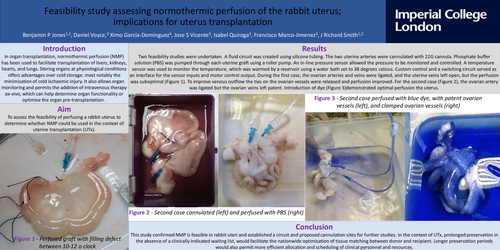 Preview of Feasibility study assessing normothermic perfusion in rabbit uteri; implications for uterus transplantation