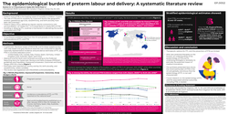 Thumbnail for The epidemiological burden of preterm labour and delivery: A systematic literature review
