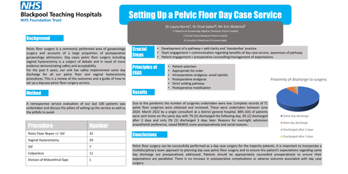 Preview of Setting up a daycase pelvic floor surgery service