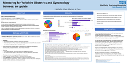 Thumbnail for Mentoring for Yorkshire Obstetrics and Gynaecology trainees: an update