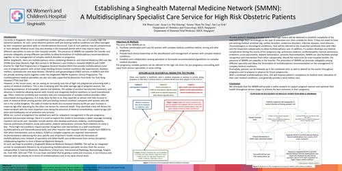 Preview of Establishing Singhealth Maternal Medicine Network: A Multidisciplinary Specialist Service for Obstetric Patients