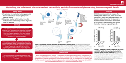 Preview of Optimising the isolation of placental-derived extracellular vesicles from maternal plasma