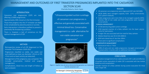 Preview of Management and outcomes of first-trimester pregnancies implanted into the caesarean section scar.