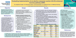 Thumbnail for Evaluating implementation of an elective caesarean section (ELCS) enhanced recovery pathway (ERP)