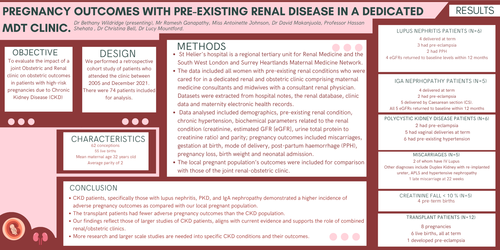 Preview of Pregnancy outcomes with pre-existing renal disease in a dedicated MDT clinic.