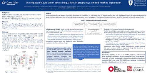 Preview of The impact of Covid-19 on ethnic inequalities in pregnancy: a mixed-method exploration