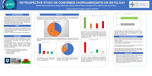 Preview of RETROSPECTIVE STUDY ON CONFIRMED CHORIOAMNIONITIS ON HISTOLOGY