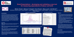 Thumbnail for Great Expectations: developing and validating a new tool for measuring birth expectations