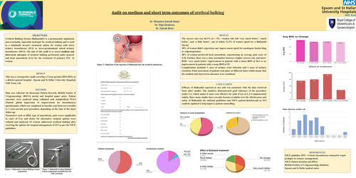 Preview of Audit on medium and short term outcomes of urethral bulking