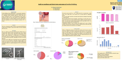 Preview of Audit on medium and short term outcomes of urethral bulking