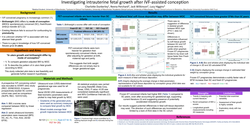 Thumbnail for Investigating intrauterine fetal growth after IVF-assisted conception