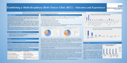 Thumbnail for Establishing a multi-disciplinary Birth Choices Clinic (BCC)– Outcomes and experi