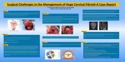 Thumbnail for Surgical challenges with management of giant cervical fibroid-A case report