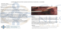 Thumbnail for Laparoscopic drainage of post-caesarean section pelvic haematoma- A case report.