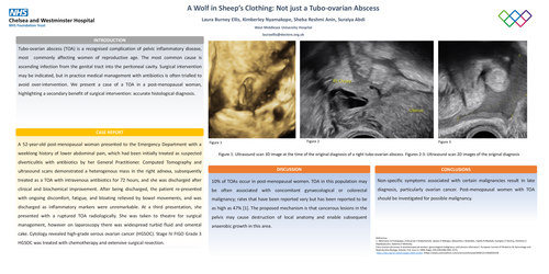 Preview of A Wolf in Sheep’s Clothing: Not just a Tubo-ovarian Abscess