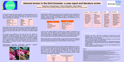 Thumbnail for Adnexal torsion in the third trimester: a case report and literature review