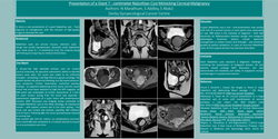 Thumbnail for Presentation of a giant 7-centimetre Nabothian cyst mimicking cervical malignancy